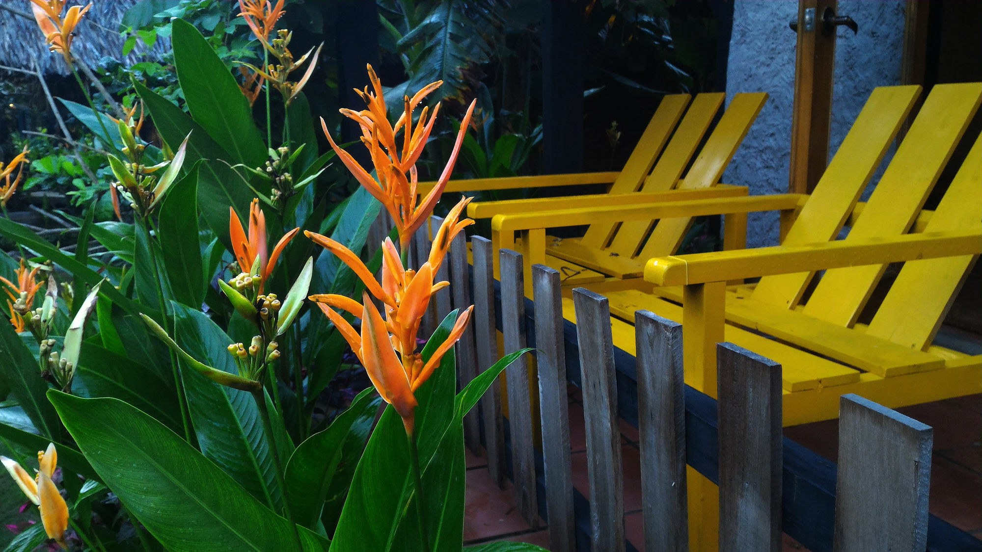 La Paloma Resort Phu Quoc Exteriör bild